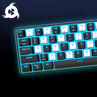 KLAWIATURA MECHANICZNA BEZPRZEWODOWA QWERTZ RGB 60% DIY BLACK-WHITE